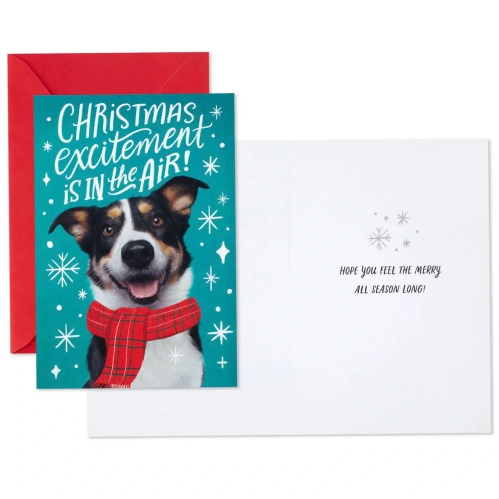 Hallmark “Christmas Excitement is in the Air!” Boxed Christmas Cards, Pack of 16